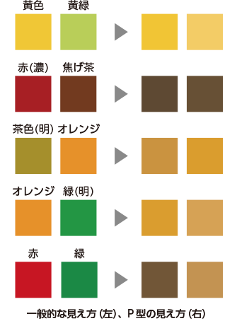C型（一般色覚）とP型の様々な色の見え方の比較その2