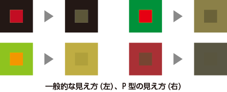 C型（一般色覚）とP型の色を重ねた時の見え方